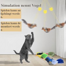 Simulation nennt Vogel,Katze