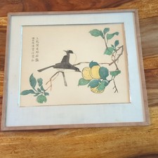 Wang Kai Senfkorngarten Chinesisch- Farbholzschnitt Faksimiledruck Timalienvögel