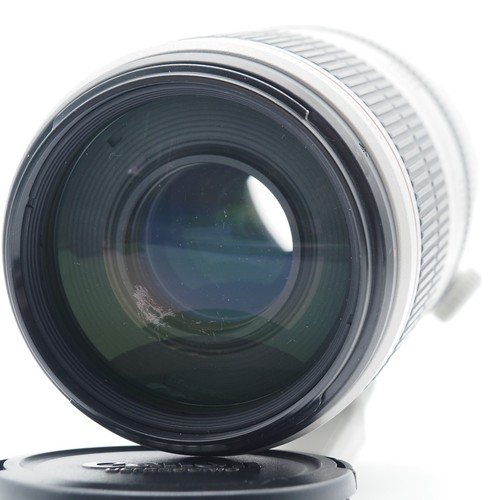Canon 100 400mm 5 - 100-400mm, f/4.5-5.6l