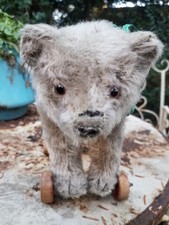 alter Steiff Bär auf