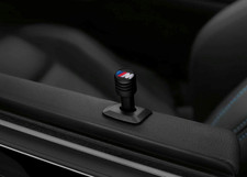 Genuine BMW M PERFORMANCE DOOR