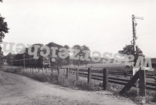 Foto Lok 38 37?? Eilzug Hamburg-Cuxhaven b. Hechthausen 1937 (BW2802)