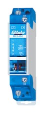 Eltako R12-100-12V DC