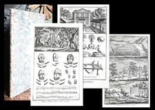 c1780 Jagd Falknerei Hunting