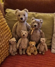 Konvolut 6 Stück Steiffbären Antik 50iger mit Knopf