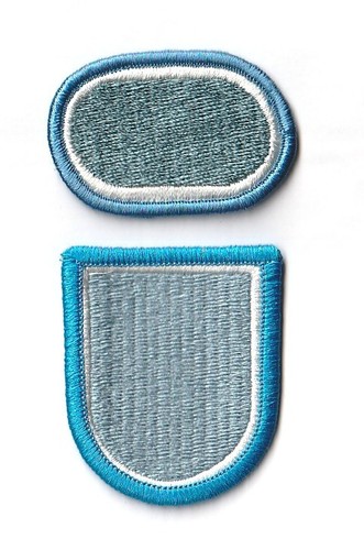 Oval barett blitz 110th - blitz,