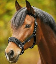 Waldhausen Longierhalfter