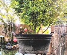 Emaille Wanne Waschwanne Wanne