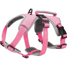 Hundegeschirr reflektierend