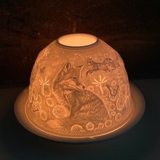 Dome Light Kuppellicht aus