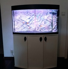 Juwel Rio 180 Aquarium mit LED Welan-Beleuchtung, Pumpe,Innen Filter, Heizer
