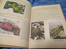 Nordmark , Berchtesgadener