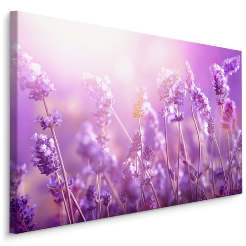 Canvas leinwand bilder - canvas, xxl