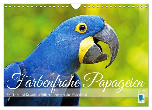 Farbenfrohe papageien - farbenfrohe,