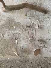 Treib Schwemmholz Mobile Muschel Shabby Deko Meer Strand Garten Skandi Boho