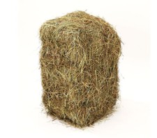 Heu Stroh Heuballen Wiesenheuballen Nagerheu schonend getrocknet 10 kg, Dehner