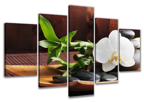 Bild tlg spa orchidee - spa,