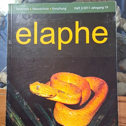 Elaphe zeitschrift heft 2011 - elaphe,