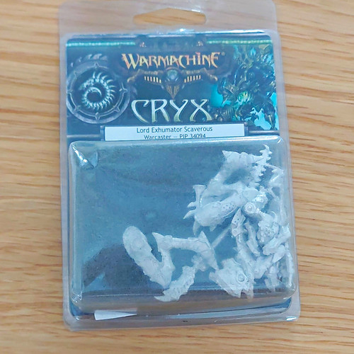 Privateer press warmachine - privateer,