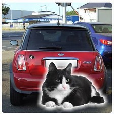 Autoaufkleber Katze Kätzchen Kitty Auto Aufkleber Sticker Digitaldruck DA2006 