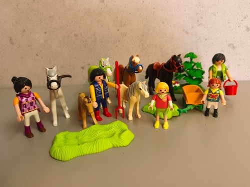 Viele pferde pony - viele, reiter