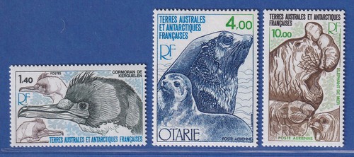 Französische antarktis taaf - antarktis,