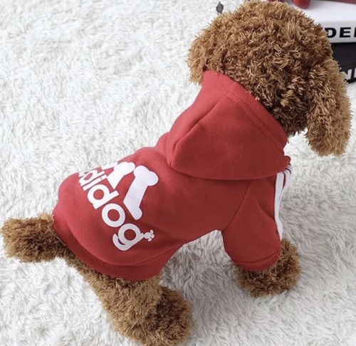 Hunde hoodie adidog - 🐕hunde,