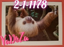 Abenteuer  Tierwelt  -