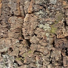 EUR 111,06 pro qm Kork