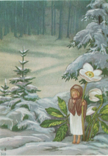 Schnee und eis schönes - eis",