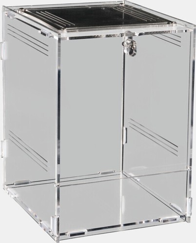 Repto terra 15x17x - repto,