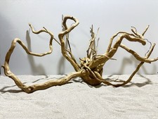 rote Moorwurzel Redwood