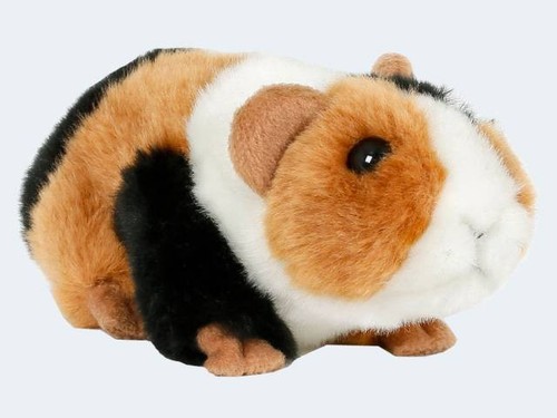 Kuscheltier meerschweinchen - kuscheltier,
