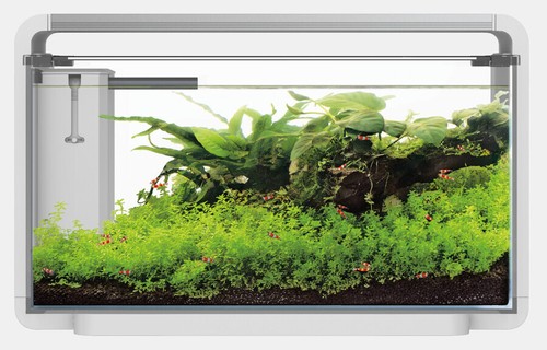 Superfish home weiß pro - home, 30