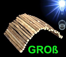 1A Nager ❤️ GROßE NATUR HOLZBRÜCKE TUNNEL ❤️ Meerschweinchen Kaninchen Zubehör