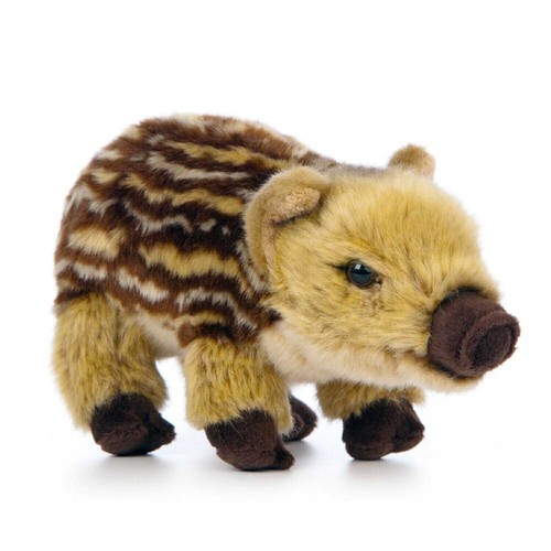 Frischling wildschwein junges - frischling, wildschwein-junges