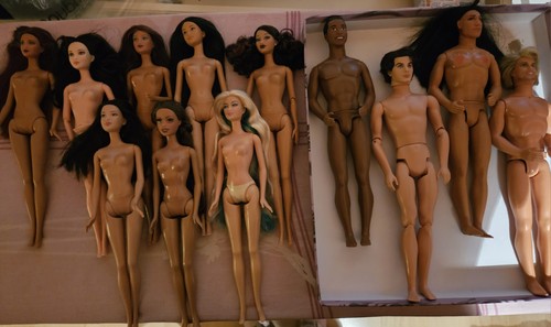 Barbie ken für - +,