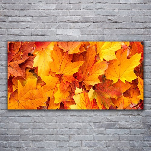Acrylglasbilder wandbilder - acrylglasbilder,