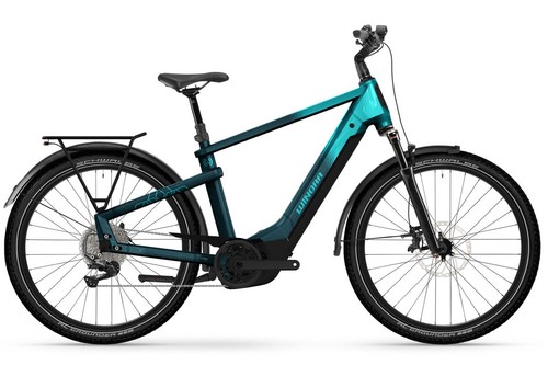 Winora elektro fahrrad - winora, yakun