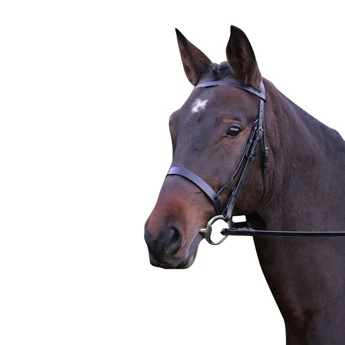 Zaumzeug hunter leder - -,