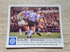 Panini Fussball 80 Hertha BSC
