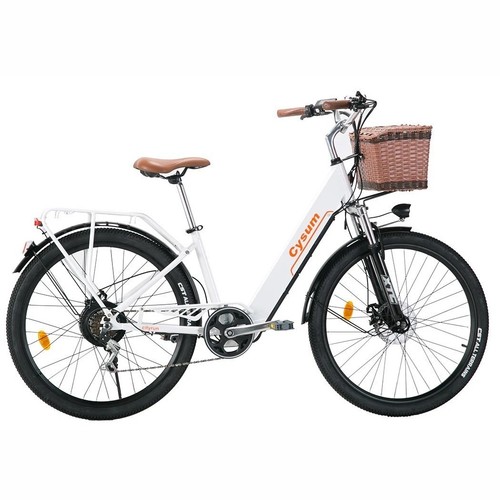 Zoll citybike 250w lcd - e-citybike,