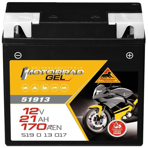 Panther gel batterie 12v 21ah - batterie,