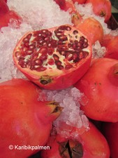 3er Paket 'Granatapfel' -