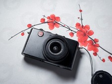 Leica D-Lux 4 CCD Sensor
