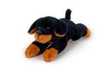 Mini Rottweiler liegend HUND