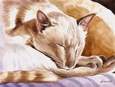 Original Aquarell, Katze