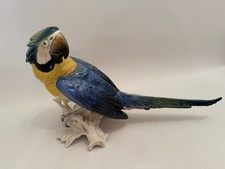 ENS Porzellan Porzellanfigur großer Ara Gelbbrustara beeindruckende 38 cm