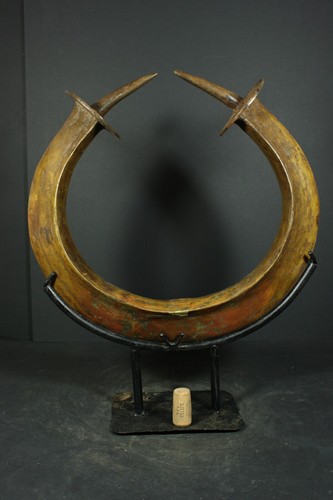 Afrikanische große bronze - afrikanische,
