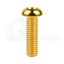 Titan M6 Torx Linsenkopf